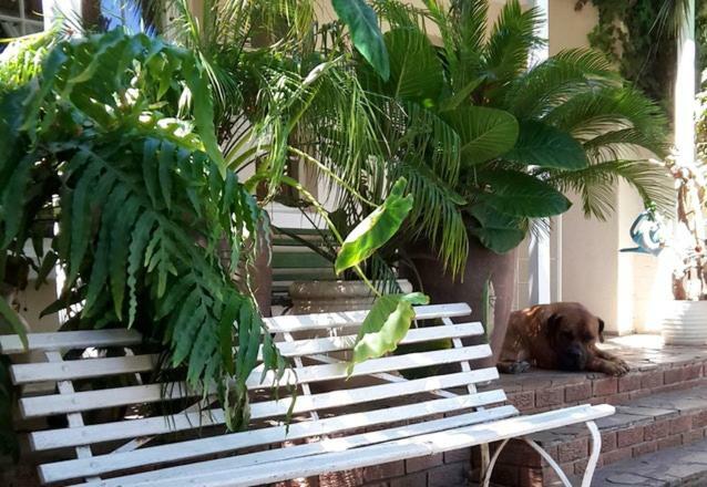 Mavilla Stellenbosch B&B Eksteriør billede